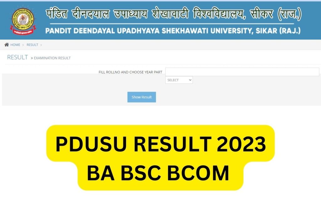 PDUSU Result 2023, Shekhawati University BA BSc Bcom Part 1, 2, 3 @ shekhauni.ac.in