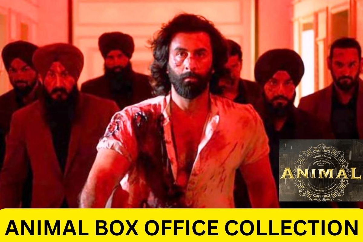 Animal Box Office Collection Day 1, 2, 3 Total Box Office Earnings
