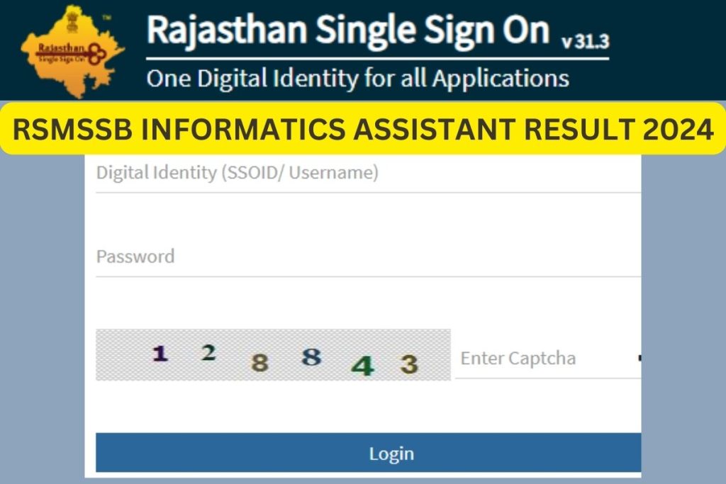 RSMSSB Informatics Assistant Result 2024